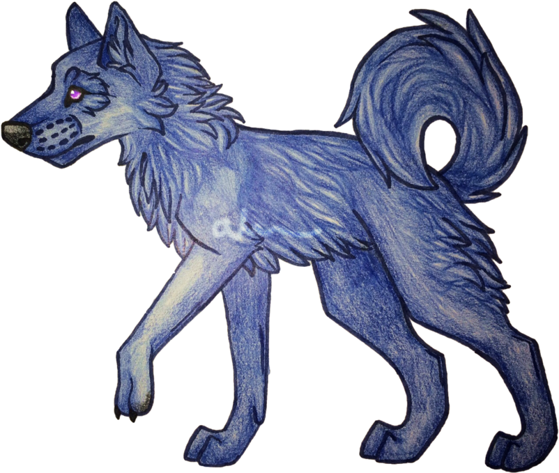 Blue Wolf Drawing By Aerwa On Deviantart (1024x768), Png Download