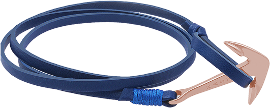 Rose Gold Anchor-navy - Ethernet Cable (550x309), Png Download