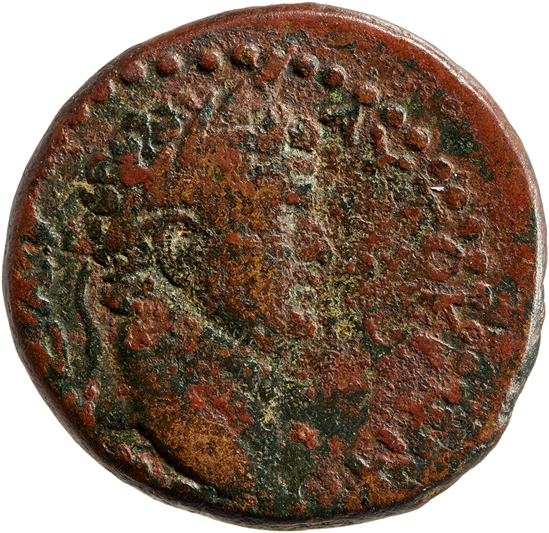 Bust Of Titus With Laurel Wreath - Coin (800x800), Png Download