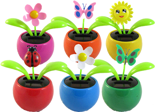 An Piece Of A Tree Trunk Makes A Nice Planter For Annual - Product (500x381), Png Download