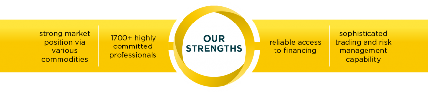 Strengths - Portable Network Graphics (870x188), Png Download