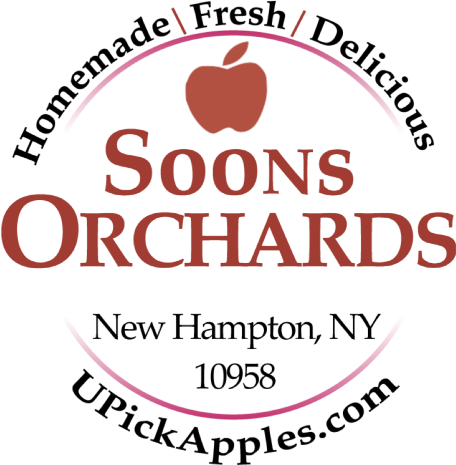 Soons Logo - Bernie Sanders 2016 Rectangle Car Magnet (1042x1042), Png Download