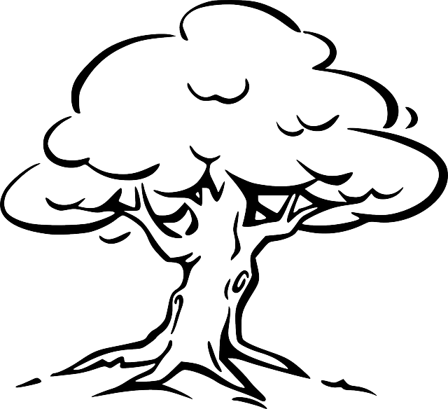 Tree Graphic Tree Graphic - Tree Outline (640x584), Png Download