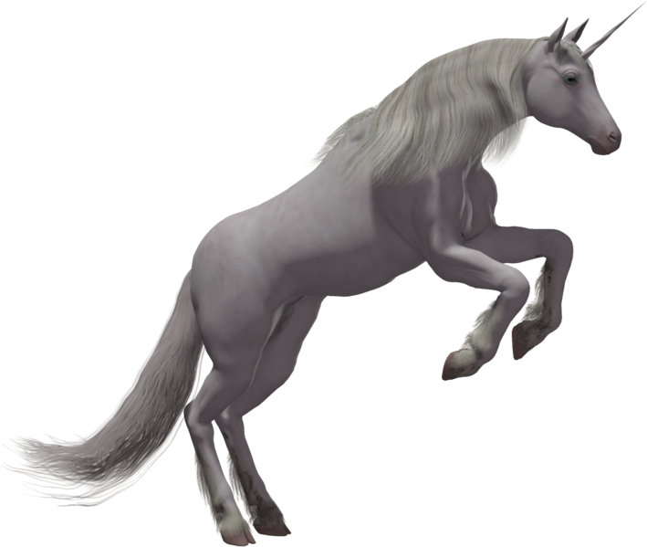 Unicorn (1024x645), Png Download