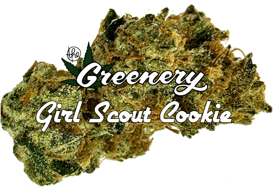 Girl Scout Cookie - Moss (600x400), Png Download