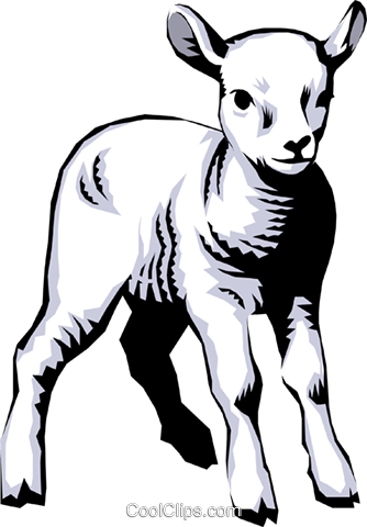 Lamb Royalty Free Vector Clip Art Illustration - Lamb Free Clipart (334x480), Png Download