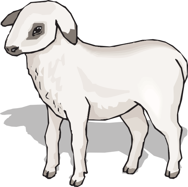 Lamb Svg Clip Arts 600 X 598 Px (600x598), Png Download