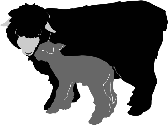 Sheep Silhouette Clipart - Sheep And Lamb Silhouette (564x421), Png Download