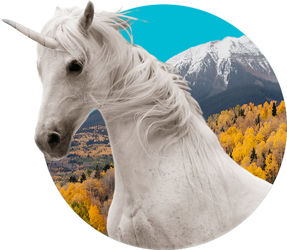 Hot Shoe Henry - Horse (590x515), Png Download