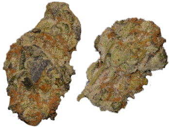 Girl Scout Cookies - Rock (600x600), Png Download