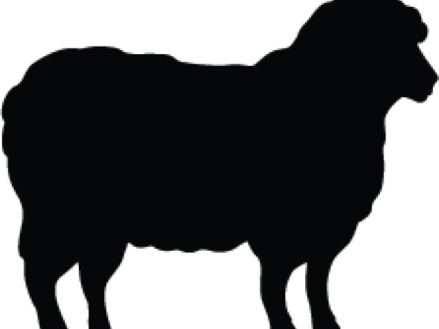Lamb Clipart Silhouette - Sheep Silhouette (640x480), Png Download