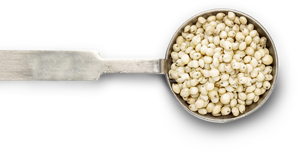 Where To Buy - Sorghum Bowl (611x312), Png Download