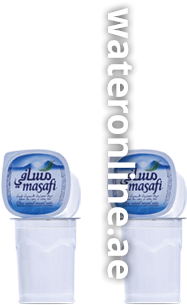 Water Bottle (320x434), Png Download