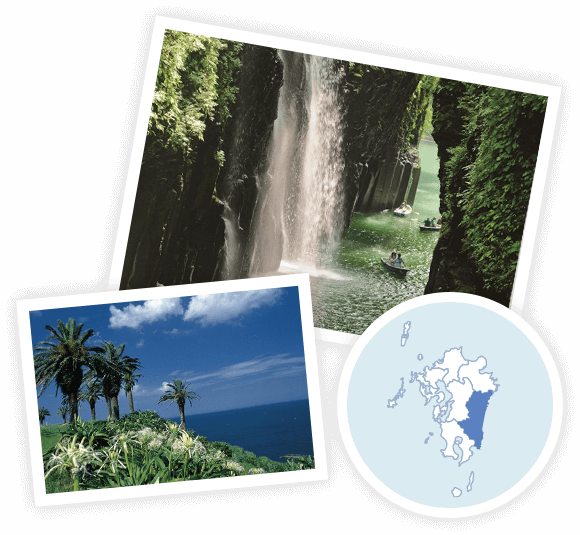 Miyazaki - Hayao Miyazaki (580x535), Png Download