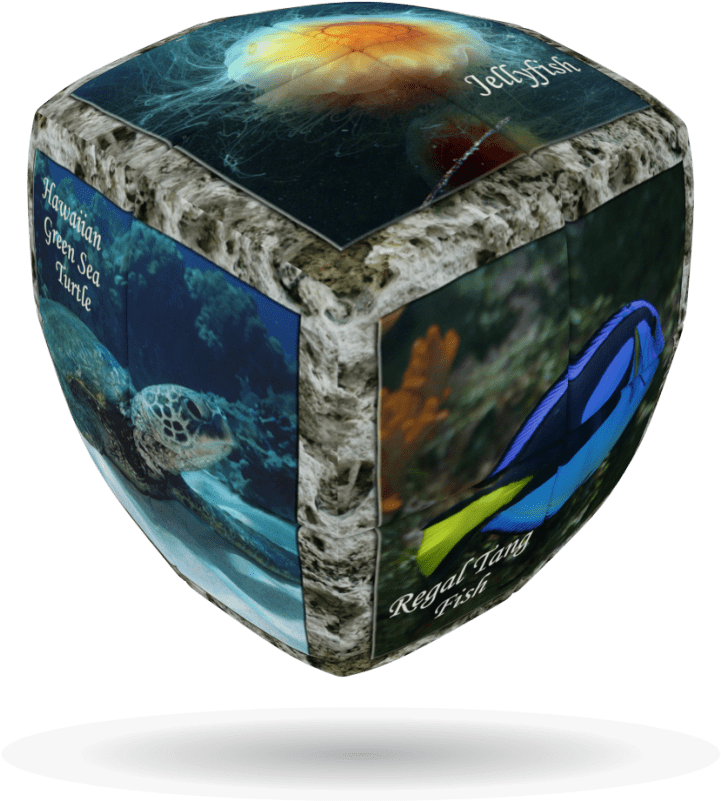 Sea World V-cube 2b - V-cube 2 Essential-sea World Cube (multi-colour) (800x800), Png Download