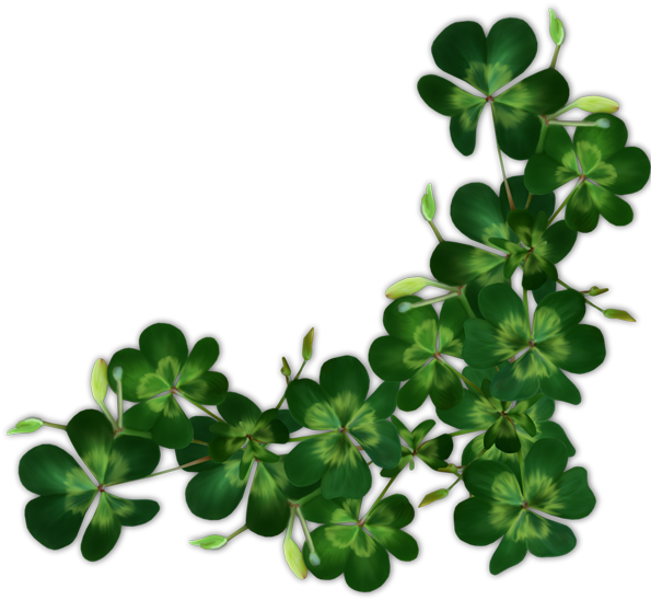 3233111 - Saint Patrick (600x569), Png Download