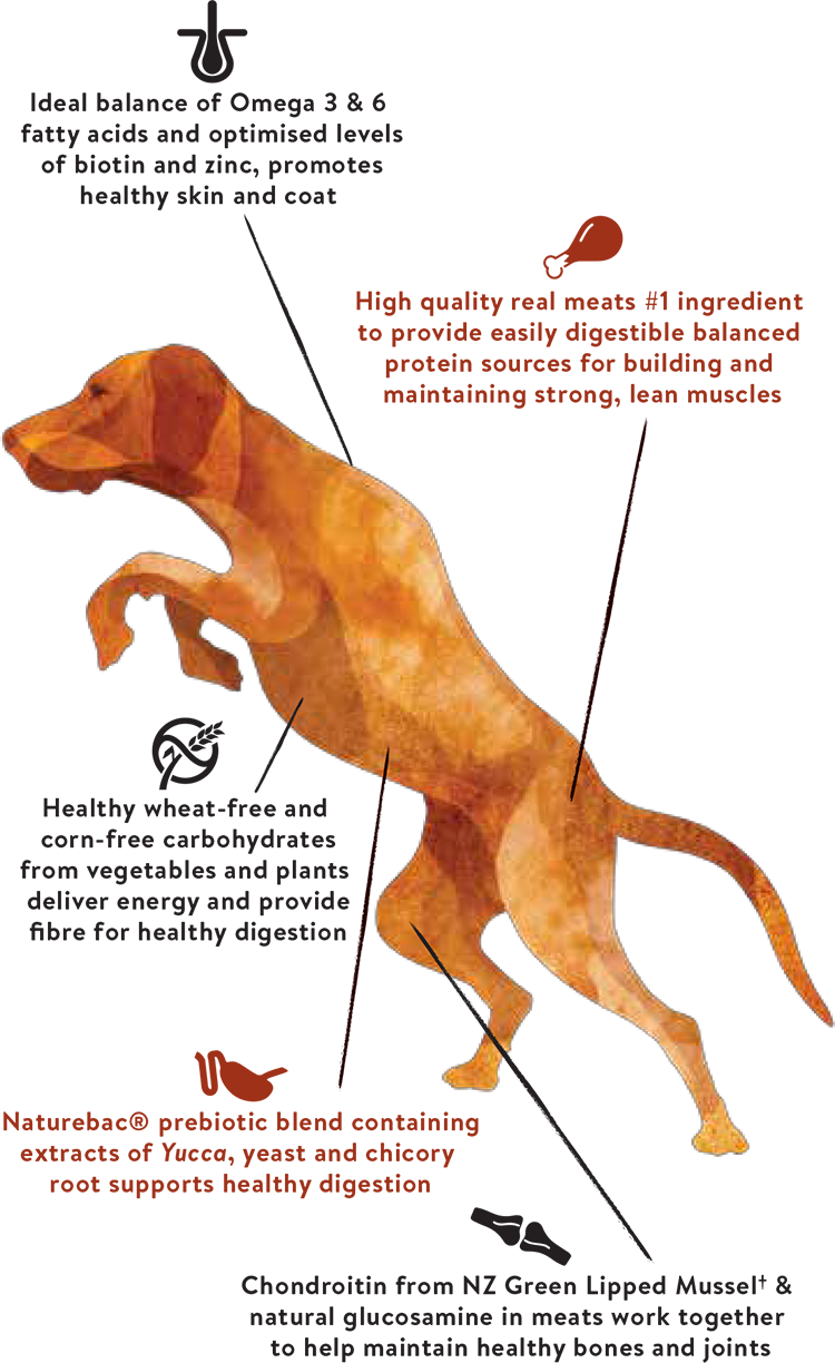 Not Contained In Single Meat Protein Range - Dog (750x1224), Png Download