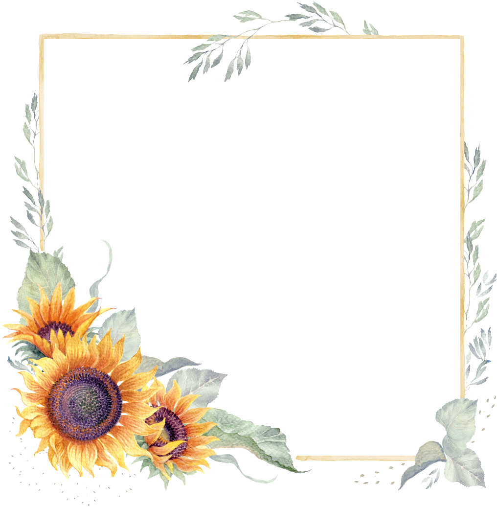 Watercolor Hand Painted Sunflower Transparent - Watercolor Painting (1024x1054), Png Download