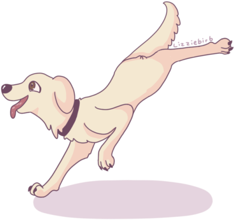 Dog Catches Something (500x469), Png Download