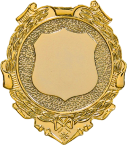 Johnston 1 Badge Back Gold Plate - Perth (591x592), Png Download