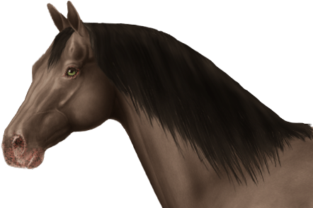 Links To Other Confirmed Single Tiger Eye Horses That - Stallion (450x300), Png Download