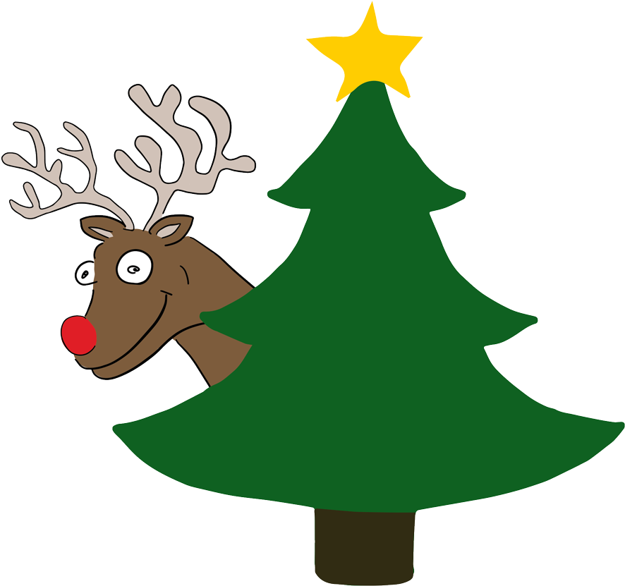 Poro Ja Kuusi - Christmas Tree (900x900), Png Download
