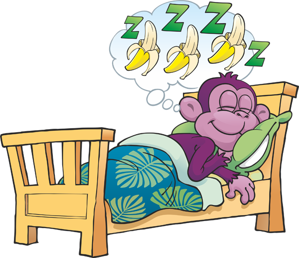 Purple Monkey Hostel (600x517), Png Download
