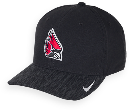 Image For Nike Aero Black Hat - Red Sox Hat Nike (600x600), Png Download