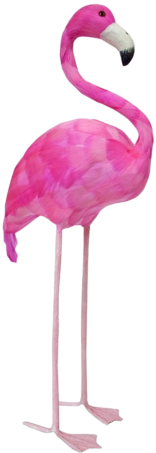 Flamingo Png Image - Flamingo Props (1024x1024), Png Download