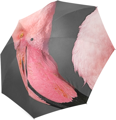 Pink Flamingo Head Foldable Umbrella - Umbrella (500x500), Png Download