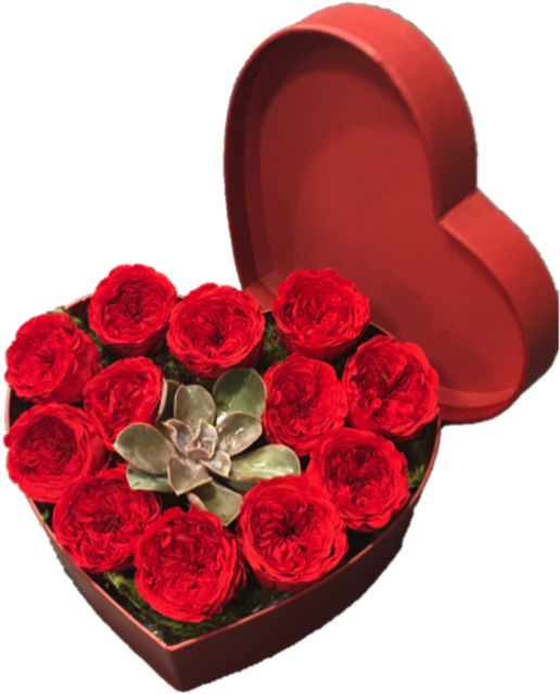 12 Preserved Red Rose Heart Box With Succulent - Rose (600x673), Png Download
