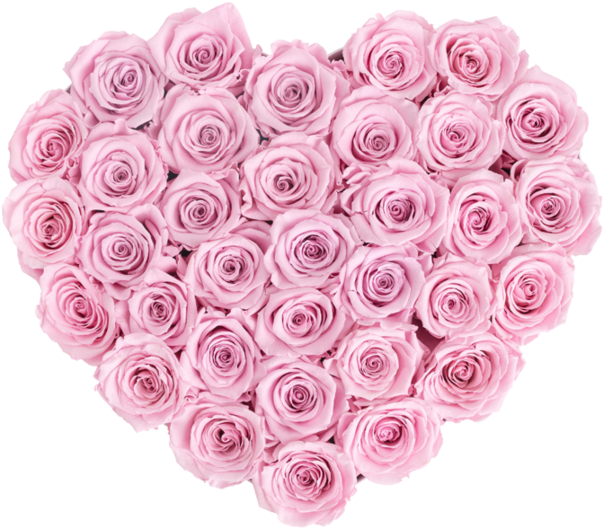 Infinity Heart- Last One Year - Rose Heart Transparent (720x720), Png Download