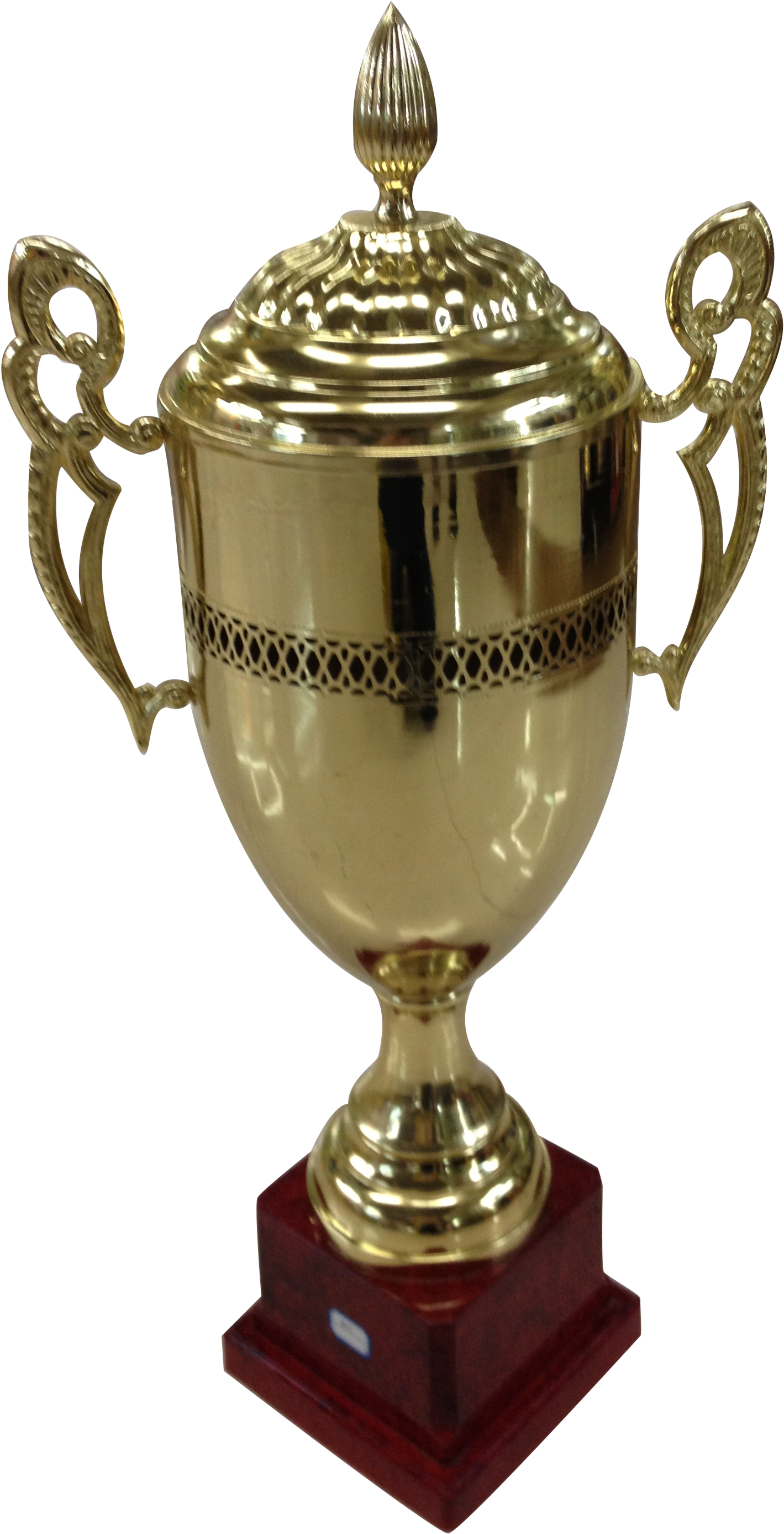 Trophy 2010 - 60 Cm - Veto Sports (1524x2879), Png Download