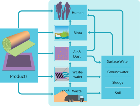 Stain-resistant Pfas On Carpets Enter Our Bodies And - Regulation (480x366), Png Download