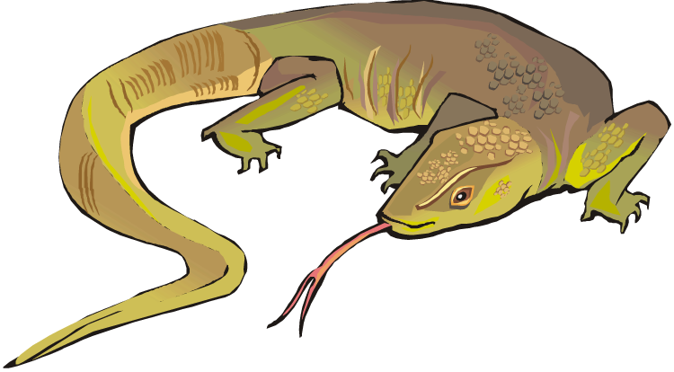 Horned Lizard Png Photos - Lizard Clipart Transparent (750x414), Png Download