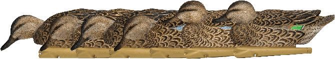 Premium Decoys - Duck Decoy (700x350), Png Download