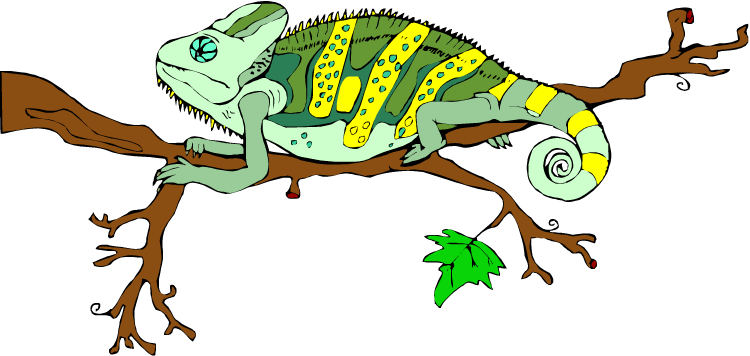 Horned Lizard Animals Reptile - Animais Selvagens De Madagascar-the Camiseta (750x356), Png Download