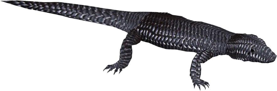 Blue-tongue Skink 3 - Komodo Dragon (881x881), Png Download