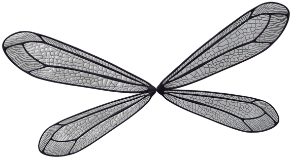 Fairy (640x382), Png Download