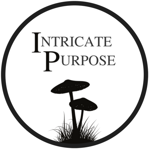 Site Logo, Mushrooms Under "intricate Purpose" - Wall Decal (500x500), Png Download