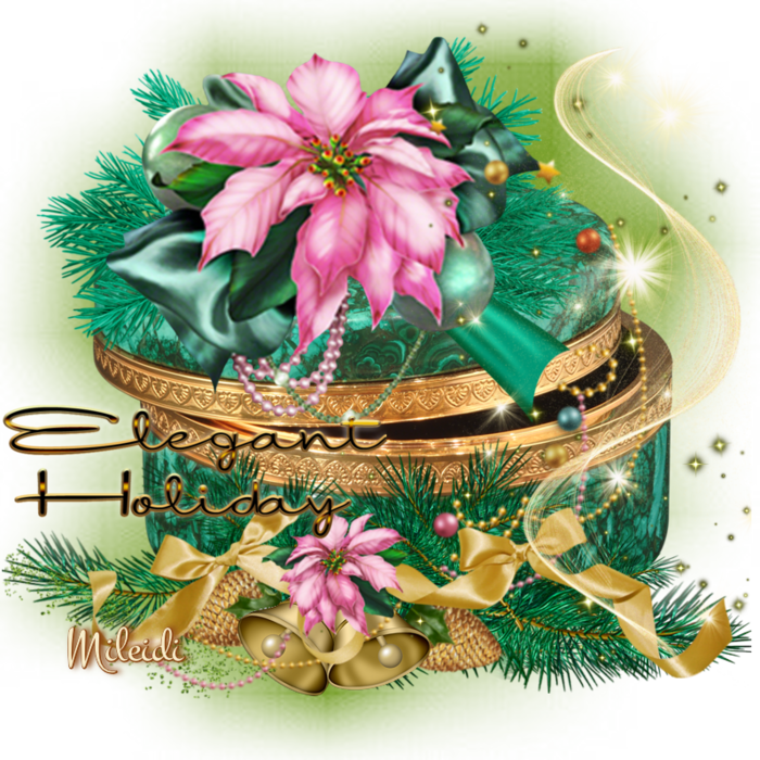 138618711 5937561 Fcxh4sjktn9z - Christmas Decoration (700x700), Png Download