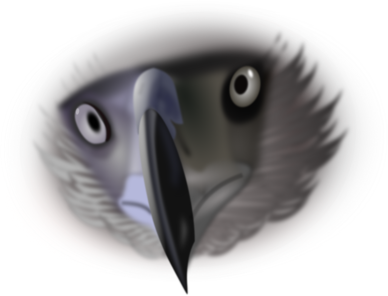 Download Gambar Mata Hewan Full Size Png Image Pngkit