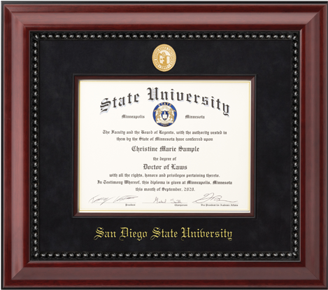 University Of Minnesota Diploma (500x442), Png Download