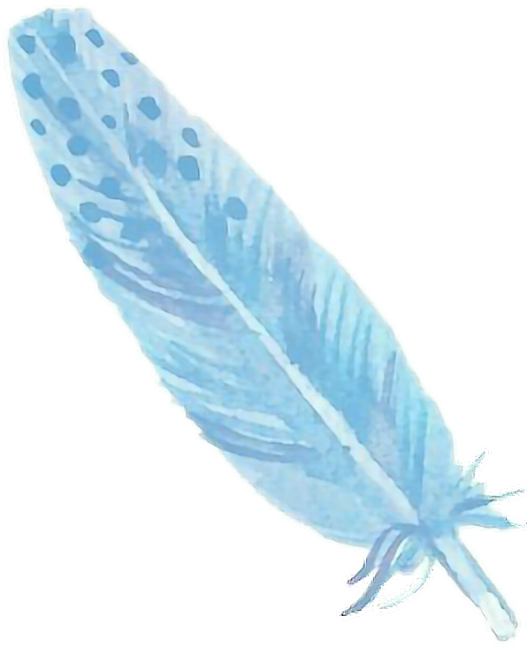 Report Abuse - Earrings Feather Feather - 25 (596x732), Png Download