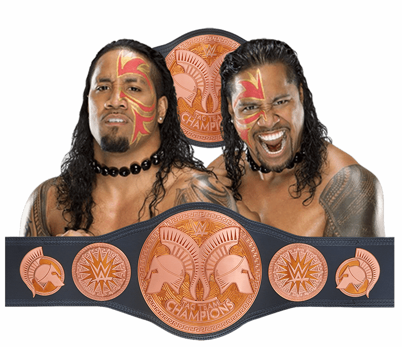 Tag Team The Usos - Wwe (800x690), Png Download