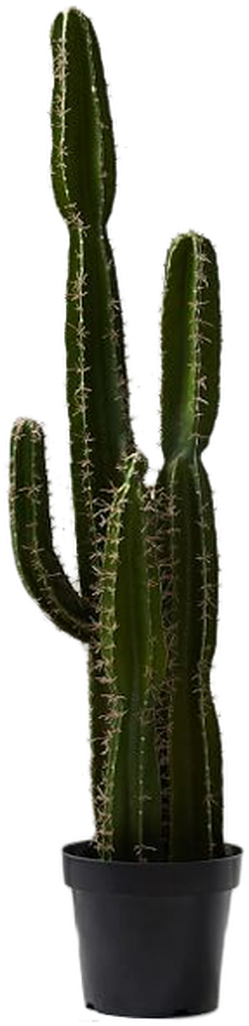 Xl Potted Saguaro Cactus (300x1040), Png Download