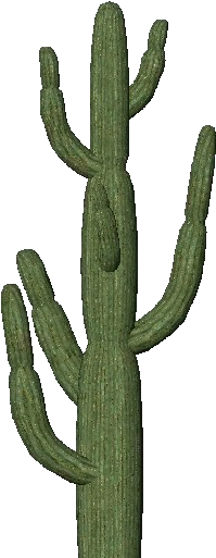3d Flowers - Giant Saguaro - Software (750x527), Png Download