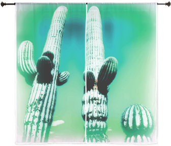 Saguaro Cactus Southwestern Scenery Aqua Curtains - Saguaro-kaktus-trockene Hitze Postkarte (350x350), Png Download