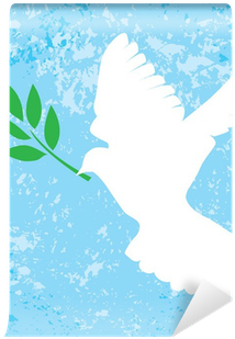 Photograph (400x400), Png Download