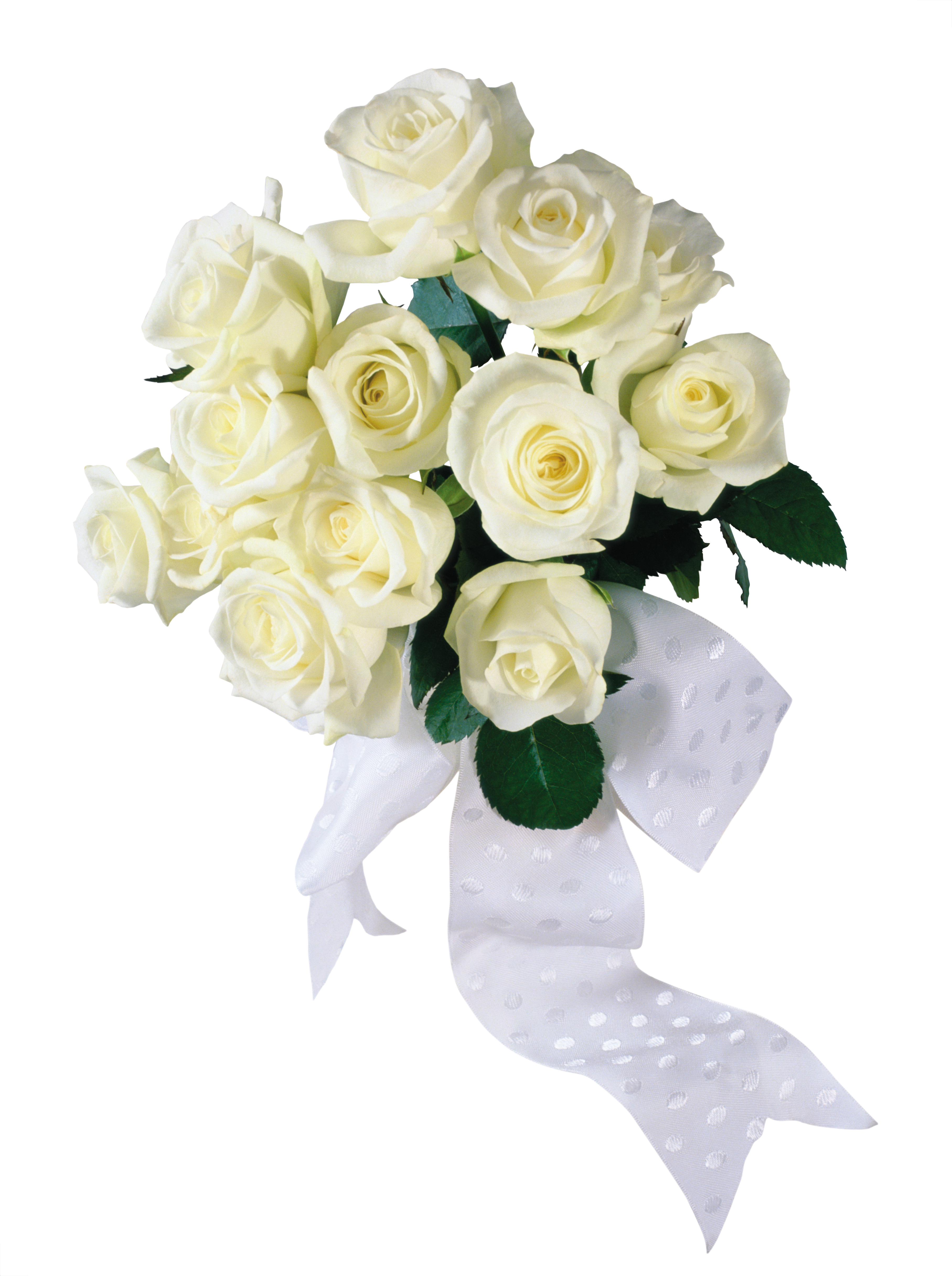White Roses, Red Roses, Just Married, Tube, Wedding (3630x4864), Png Download